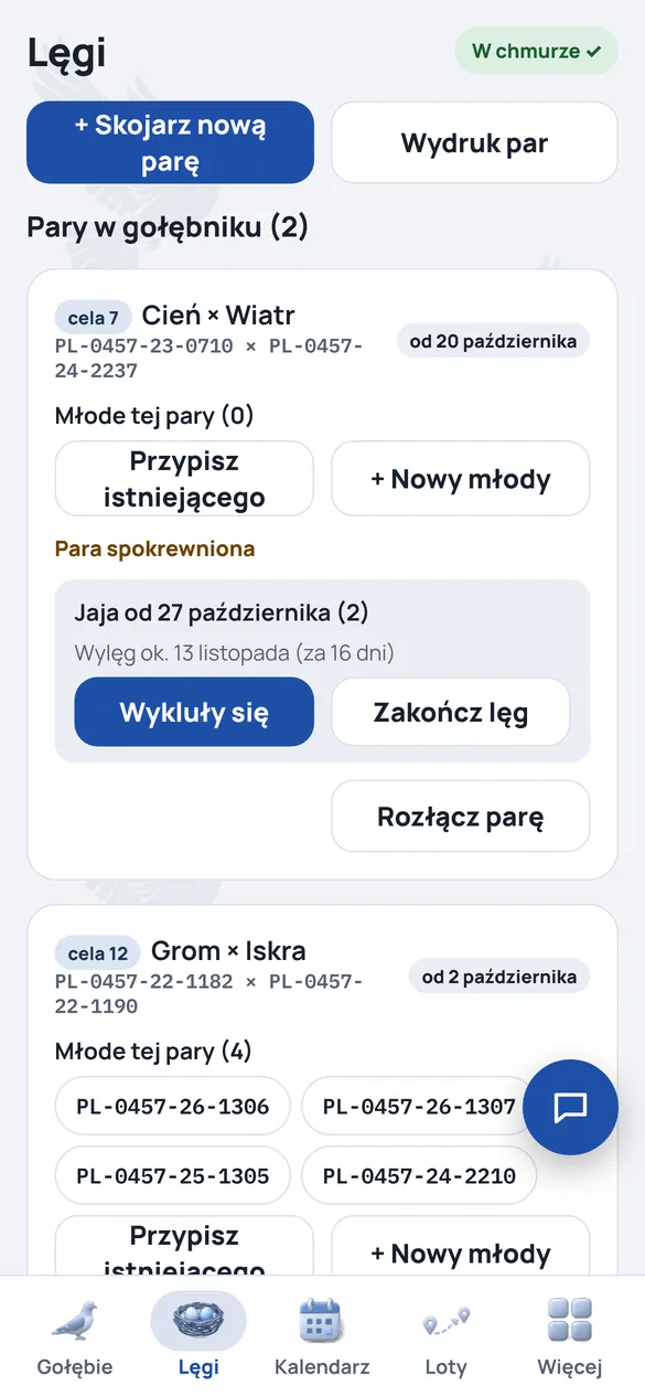 Ekran aplikacji dla wybranego etapu